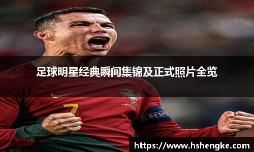 摩根娱乐