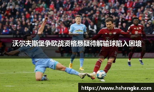 摩根体育